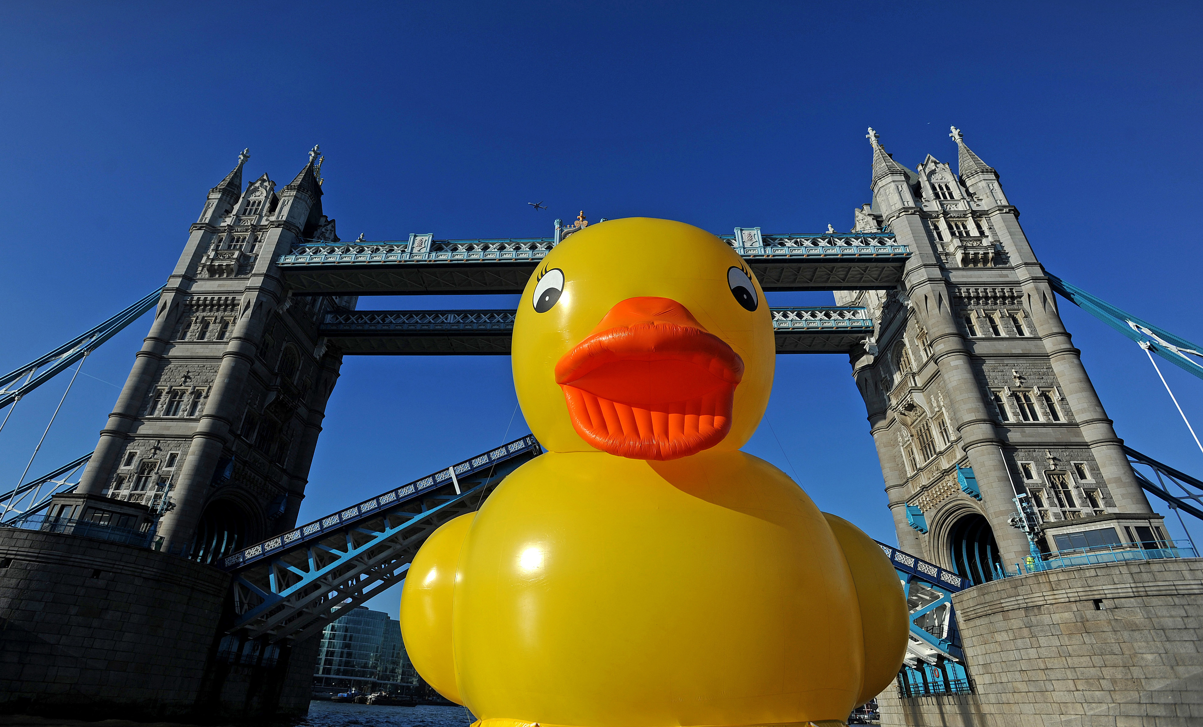 New Large Middle Finger Rubber Ducks 